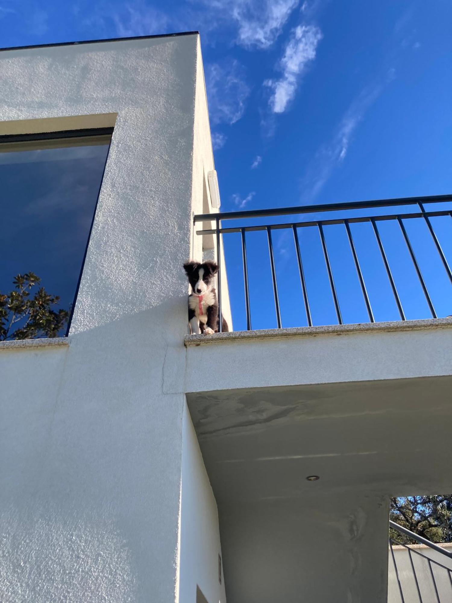 Quintinha Silvestre Villa Tondela Exterior photo